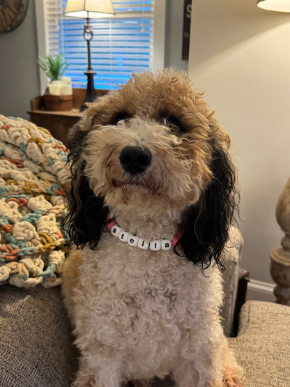 Custom Furr Baby Bling