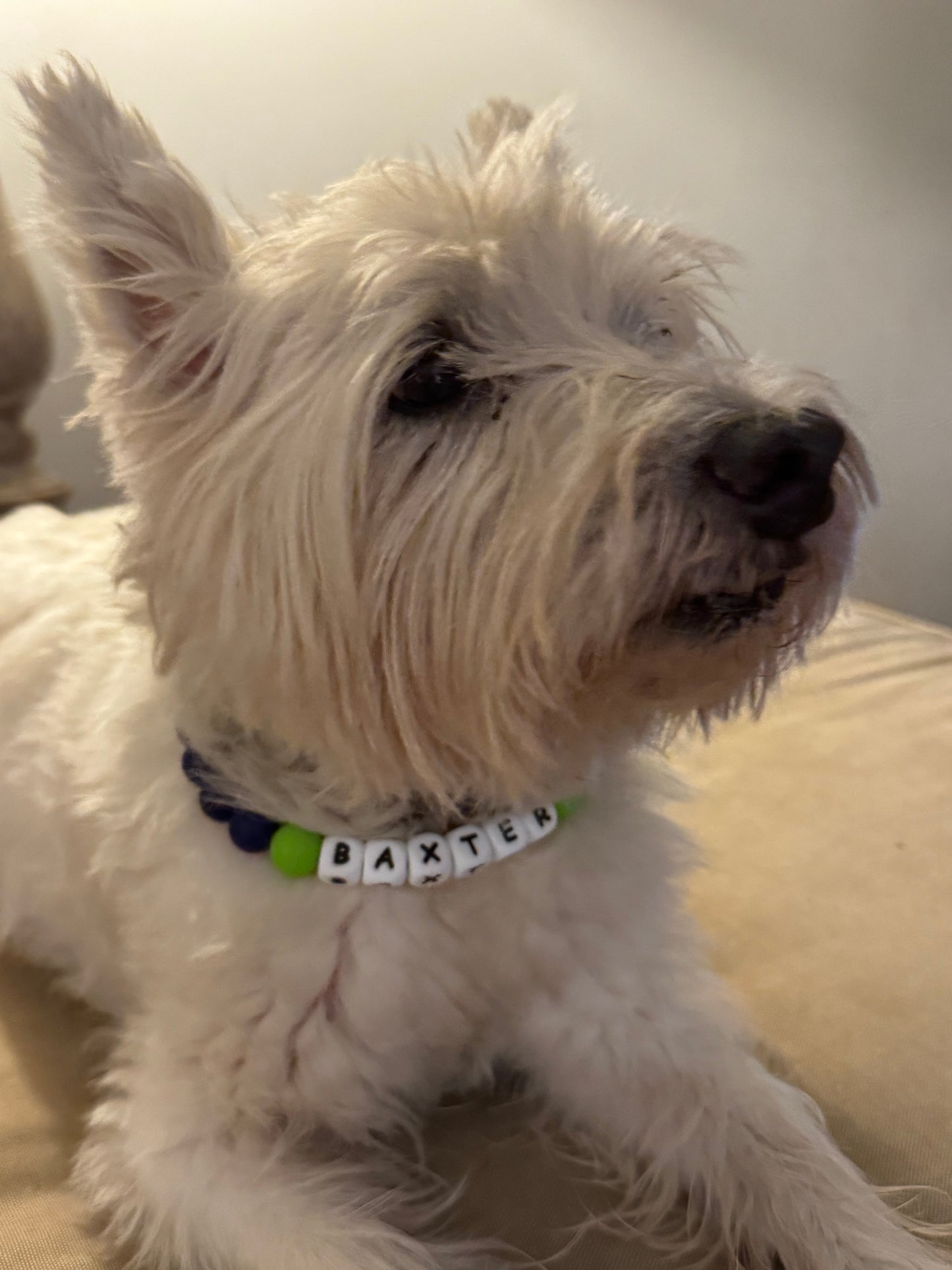 Custom Furr Baby Bling